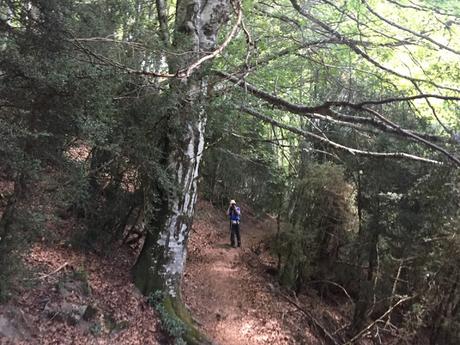 Senda de Camille. Etapa 4. De refugio de Linza al refugio de Gabardito