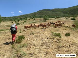 Mena de Babia-Alto Terreiros-Valgrán-El Cueto