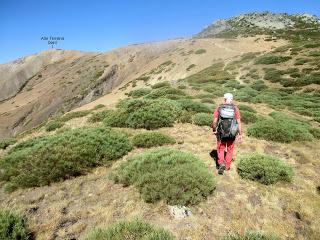Mena de Babia-Alto Terreiros-Valgrán-El Cueto