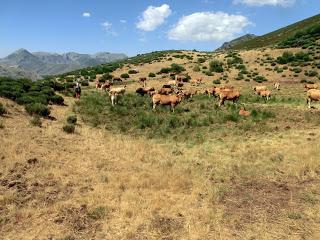 Mena de Babia-Alto Terreiros-Valgrán-El Cueto