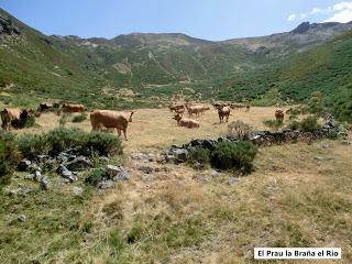 Mena de Babia-Alto Terreiros-Valgrán-El Cueto