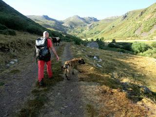 Mena de Babia-Alto Terreiros-Valgrán-El Cueto