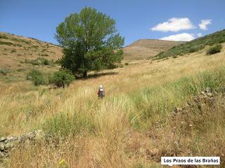 Mena de Babia-Alto Terreiros-Valgrán-El Cueto