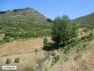 Mena de Babia-Alto Terreiros-Valgrán-El Cueto