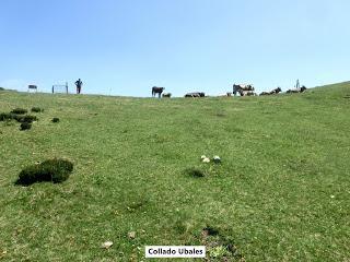 Caleao-Los Arrudos-Puertos del Contorgán-Corteguerón-Pasá la Tayá