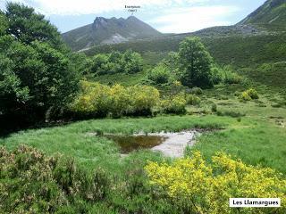 Caleao-Los Arrudos-Puertos del Contorgán-Corteguerón-Pasá la Tayá