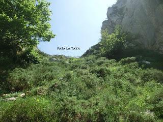 Caleao-Los Arrudos-Puertos del Contorgán-Corteguerón-Pasá la Tayá