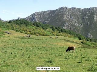 Caleao-Los Arrudos-Puertos del Contorgán-Corteguerón-Pasá la Tayá