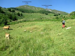 Caleao-Los Arrudos-Puertos del Contorgán-Corteguerón-Pasá la Tayá