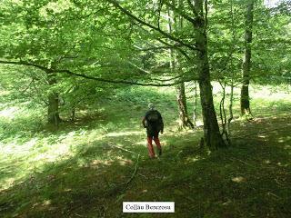 Caleao-Los Arrudos-Puertos del Contorgán-Corteguerón-Pasá la Tayá