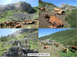 Acebedo-Solle-Lois-Liegos-Acebedo