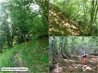 Acebedo-Solle-Lois-Liegos-Acebedo