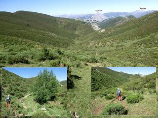 Acebedo-Solle-Lois-Liegos-Acebedo