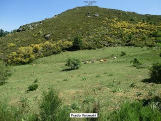 Acebedo-Solle-Lois-Liegos-Acebedo