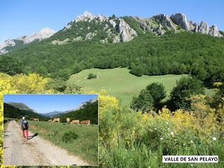 Acebedo-Solle-Lois-Liegos-Acebedo