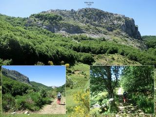 Acebedo-Solle-Lois-Liegos-Acebedo