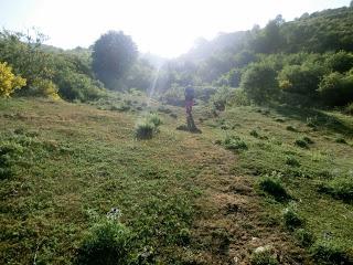 Acebedo-Solle-Lois-Liegos-Acebedo