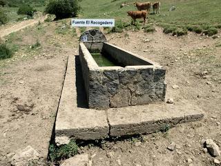 Acebedo-Solle-Lois-Liegos-Acebedo