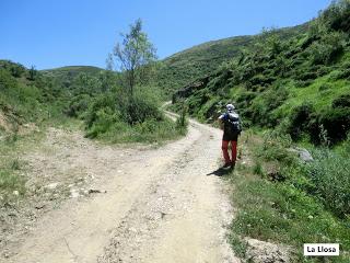 Acebedo-Solle-Lois-Liegos-Acebedo