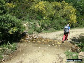 Acebedo-Solle-Lois-Liegos-Acebedo