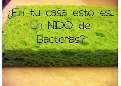 ¿Son tu esponja y bayeta de cocina un nido de bacterias? ¡Se acabó!