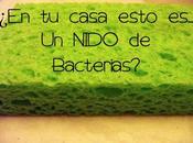 ¿Son esponja bayeta cocina nido bacterias? acabó!