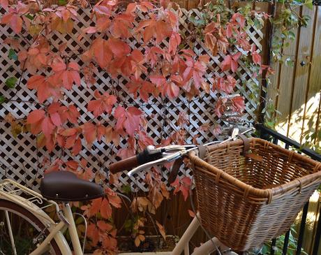 MI TESORITO ITALIANO...