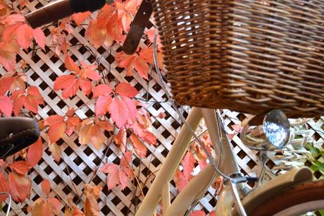 MI TESORITO ITALIANO...