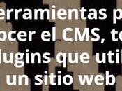 herramientas para conocer CMS, tema plugins utiliza sitio