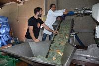 Vendimia Vizhoja, mi primera vendimia... y por fin de vuelta!