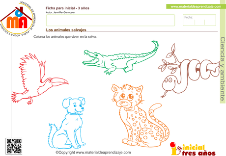 Los animales salvajes – Ciencia y ambiente 3 años