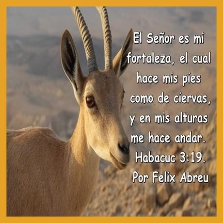 Hoy… El Hará Mis Pies Como De Cierva