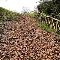 Fuente: http://www.the-beehive.com/blog/wp-content/uploads/2015/04/photo90.jpg La sorprendente montaña de ánforas llamada Monte Testaccio