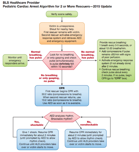 Actualización de las guías de reanimación en pacientes pediátricos 2015: Reanimación Básica
