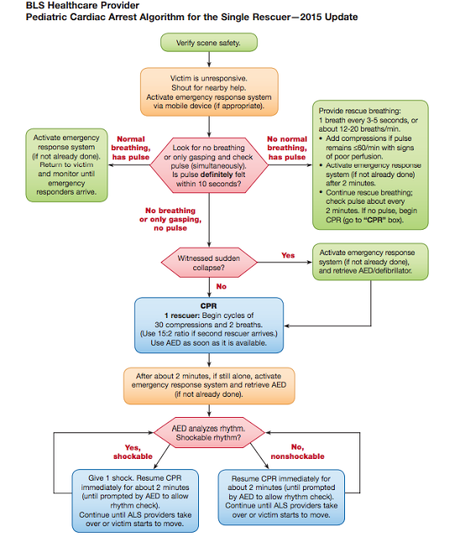 Actualización de las guías de reanimación en pacientes pediátricos 2015: Reanimación Básica
