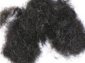 Pelos mascotas truco para