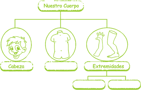 Nuestro cuerpo