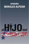Novelas electorales Novelas electorales: El hijo del candidato