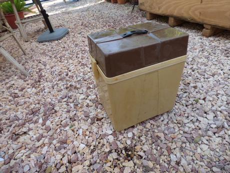 Recuerdo de mi niñez