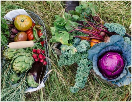 Mesa de otoño con verduras y hortalizas