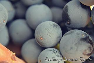 UVAS...