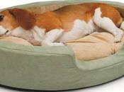 preguntas respuestas sobre camas para perros