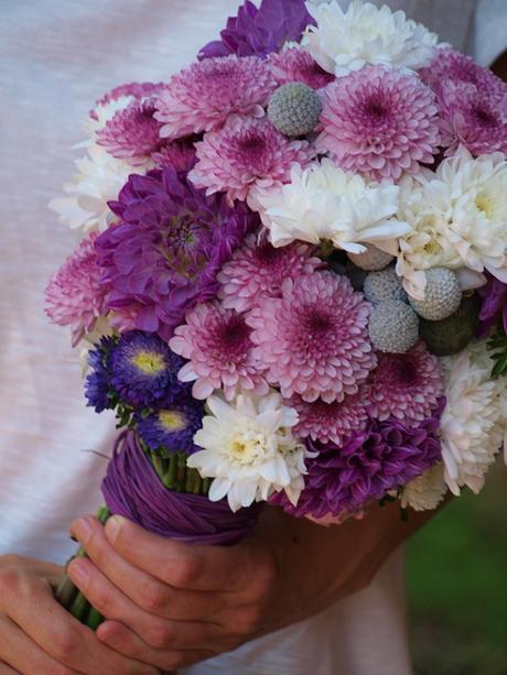 Flores otoñales llenas de color Flores otoñales llenas de color