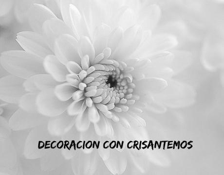 Flores otoñales llenas de color