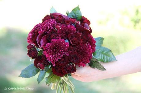 Flores otoñales llenas de color Flores otoñales llenas de color