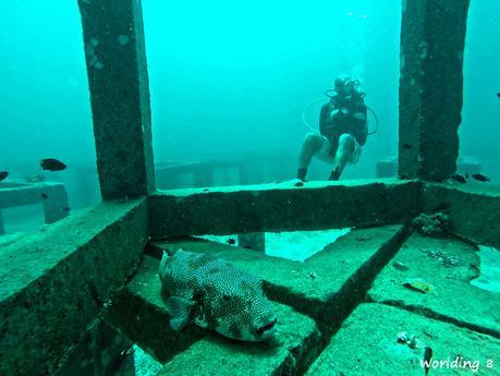 KOH TAO CON IHASIA KOH TAO CON IHASIA