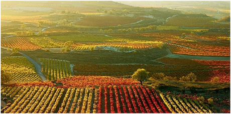 10 PROPUESTAS INSPIRADORAS PARA  LUNA DE MIEL - PARTE 1-