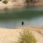 Embalse de La Maliciosa