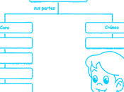 cabeza: Ciencias grado