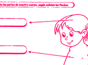 Partes nuestro cuerpo: grado